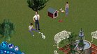 Images et photos Les Sims Entre Chiens Et Chats