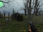 Swamp 2