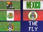Mexico Flags
