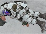 Winter Camo Airborne Skins