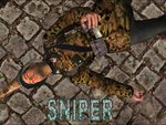 Hector's Wehrmacht Sniper Skin