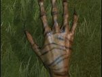 Skin Tiger Hands