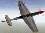 Checkertail P-51D Mustang Skin