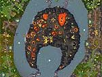 The Crescent FFA