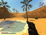 Desert Oasis