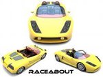 RACEABOUT TMS