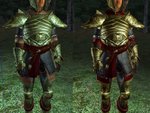 Elven Armor en or