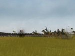 Napoleonic Total War II