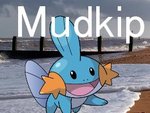 Mudkip 0.1 Beta 7