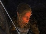 Attractive High Elf Male Save Game