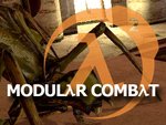 Modular Combat