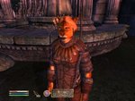 Attractive Khajiit Female