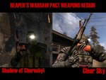 Reaper's Warsaw Pact Weapons Reskin