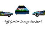 Jeff Gordon