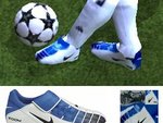 Nike bleue et blanche