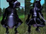 Skin Skunk Cow