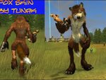 Skin Fox (Tunak)