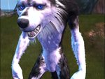 Skin Wolf Husky