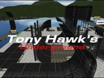 Tony Hawk's Underground