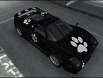 Black Paw Carset