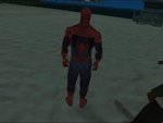 Spiderman Skin (new)