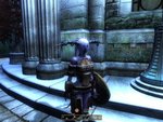 HGEC- Yet Another Armor Replacer Mod - Fur Armor