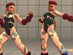 Skin - Cammy Tattered