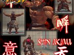 Shin Akuma 4