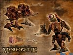 MORROWIND 2011 GRAPHICAL PROJECT