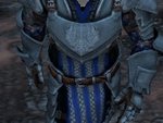 Objets : Grey Warden Armor for Hawke