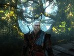 Battle Ravaged Geralt