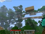 Big Epic Treehouse with town
