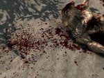 Enhanced Blood Textures