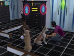 Faster Pet Learning