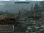 Skyrim Online