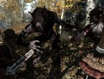 Wars in Skyrim III - New Version