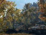 Vurts Skyrim Flora Overhaul