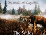 Sounds of Skyrim - Dungeons