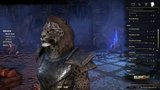 Vido The Elder Scrolls Online : Tamriel Unlimited | Quelques phases de gameplay