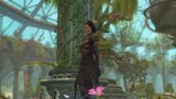 Vido Guild Wars 2 | La garde-robe