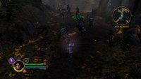 recherche-survivants
