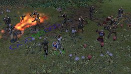 [Dungeon Siege] Les diffrents types de combat