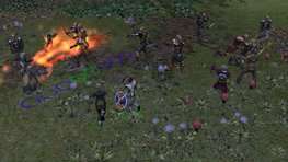 [Dungeon Siege] Les différents types de combat
