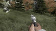 DayZ