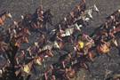 Total War : Rome 2 se paye le plus gros screenshot de tous les temps