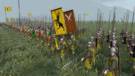 Le mod du jour : Le pass de Game of Thrones revisit sur Medieval 2 : Total War