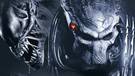 Les jeux Aliens rintgrent Steam (MJ)
