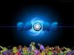 Spore