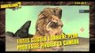 Bande-annonce #15 - Mount Jackmore
