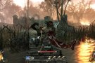 De nombreuses captures pour  Two Worlds 2